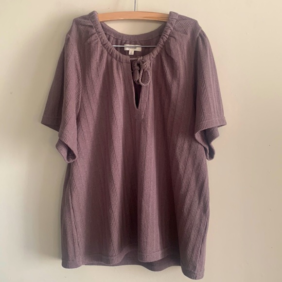 Madewell Pointelle Tie Neck Tunic Top brown size medium - Picture 1 of 3